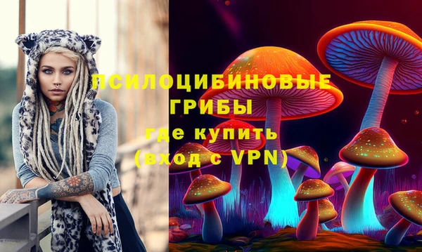 винт Алзамай