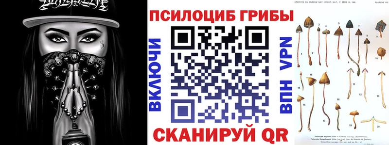 как найти закладки  Гурьевск  Галлюциногенные грибы Psilocybine cubensis 